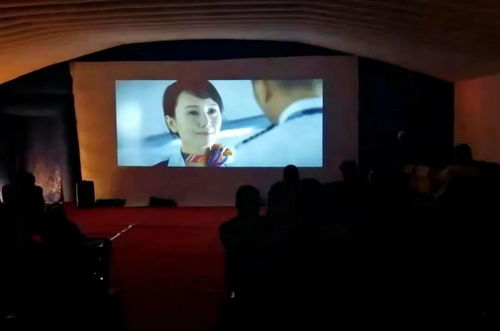 呼和浩特市賽罕區(qū) 黨建引領聚合力 攜手為民辦實事